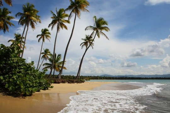 The beach at Tropicalia
