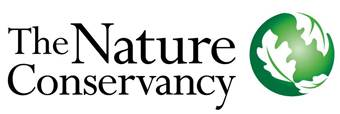 Novelas and Social Merchandising
